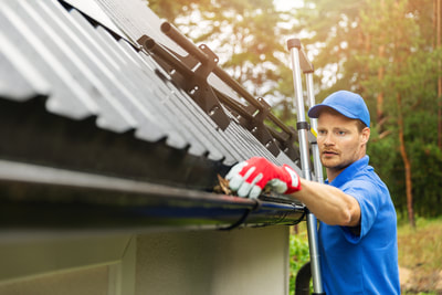 Langley BC Roof Cleaning Company 
