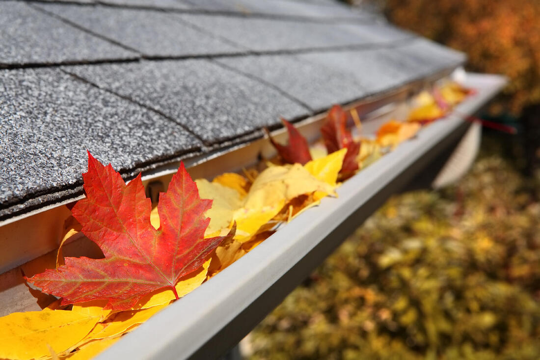 Gutter cleaning and repair Langley