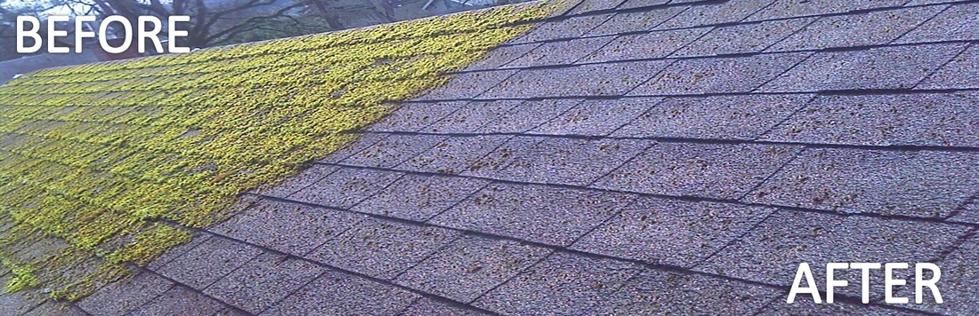 Roof Moss Removal Near Me Bellevue