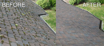 Roof cleaning Langley and Abbotsford