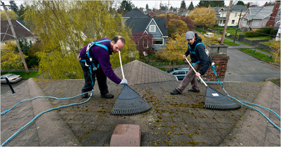 Abbotsford Roof cleaning company