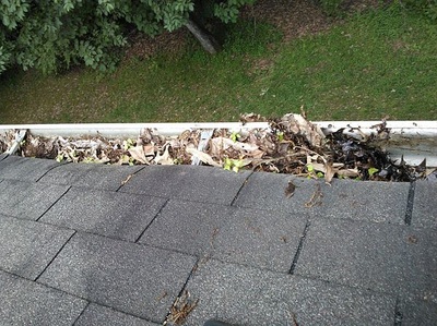 Fort Langley Gutter cleaning 